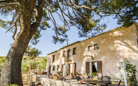 El pino centenario proporciona una deliciosa sombre en verano